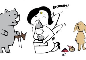 Fée pas ci, Fée pas ça - le règlement 5