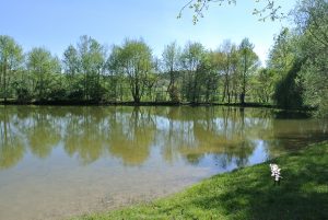 Vacances au parc des fées, fée pas de vague