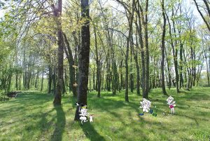 Les aménagement du parc des fées