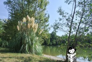 l'accueil du parc des fées, Fée un sourire