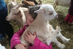 Gastronomie et marchés 1