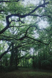 Location espace extérieur1