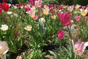 le Jardin des Martels