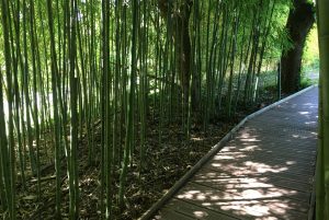 Le Jardin des Martels 3