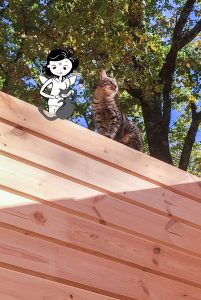 Chalet 6/8 personnes - Disponible en 2019