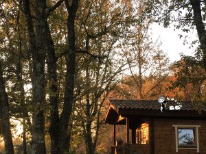 l'accueil de vos vacances, Fée Dodo