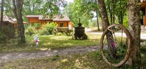 Slider 117 - image 9