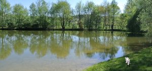 l'acceuil de vos vacances, Fée pas de vagues