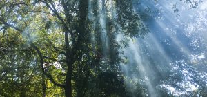 Slider 117 - image 7