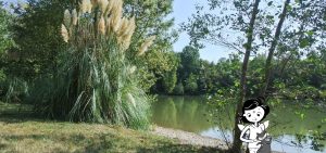 Slider 117 - image 6