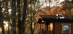 Slider 117 - image 5