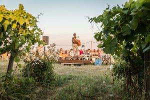 Le vignoble de gaillac 2
