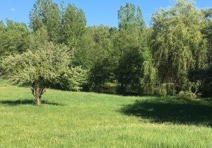 Location espaces évènements 4