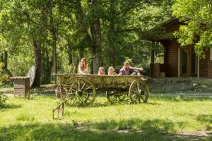 Au village des fées