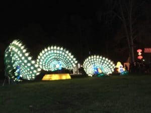 Les Festivals d'été et animations près de chez nous 2019