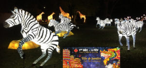 Slider 117 - image 8