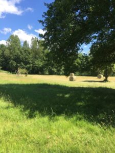 Fée le point en juillet 2018 3