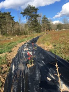 Fée le point sur les travaux en avril 2019 4