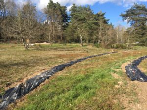 Travaux_camping_avril2019