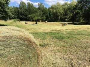 Fée le point en juillet 2018 6