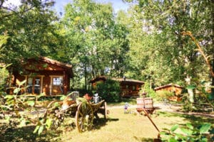 Slider 117 - image 10