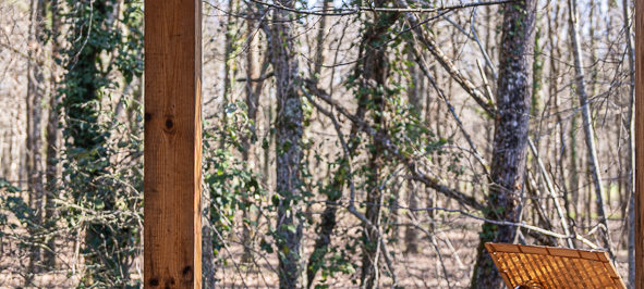 Week-end romantique dans le Tarn : chalets en bois avec terrasse pour une escapade à deux
