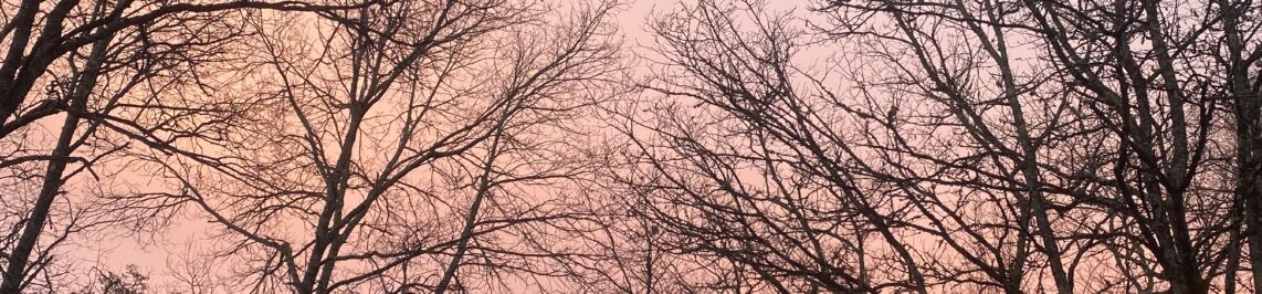 Week-end romantique dans le Tarn : chalets en bois avec terrasse pour une escapade à deux 3