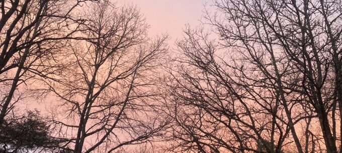 Week-end romantique dans le Tarn : chalets en bois avec terrasse pour une escapade à deux 3