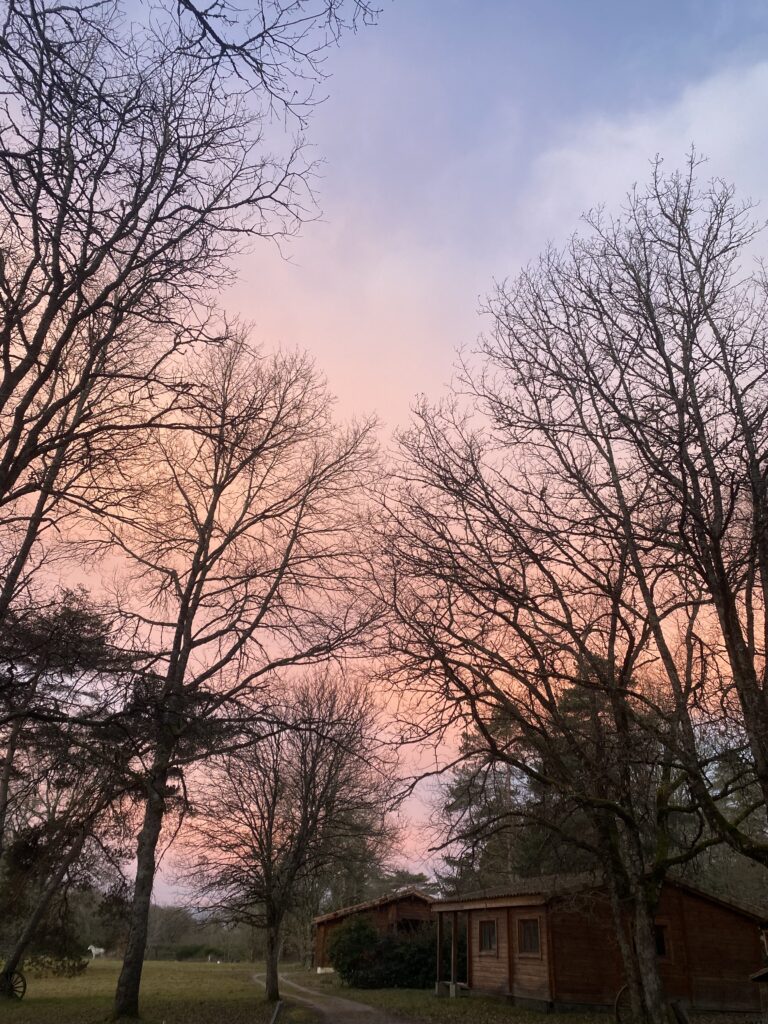Week-end romantique dans le Tarn : chalets en bois avec terrasse pour une escapade à deux 3